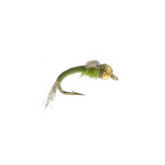 Bead Head WD40 in Olive